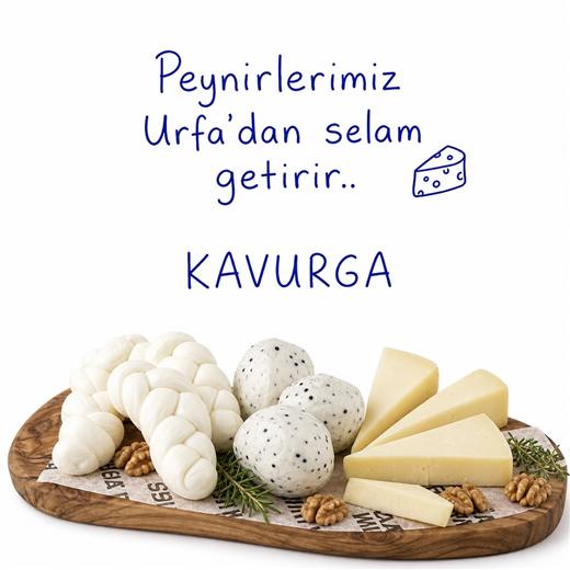 Kavurga Instagram gönderisi